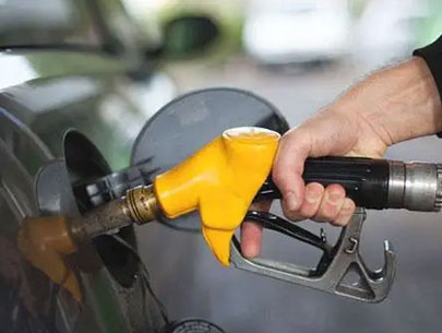 Refined oil